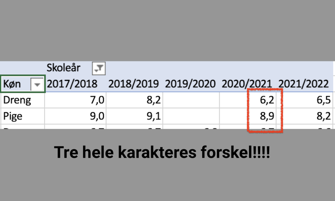 Screenshot fra officielle tal